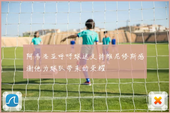 阿韦洛亚呼吁球迷支持维尼修斯感谢他为球队带来的荣耀