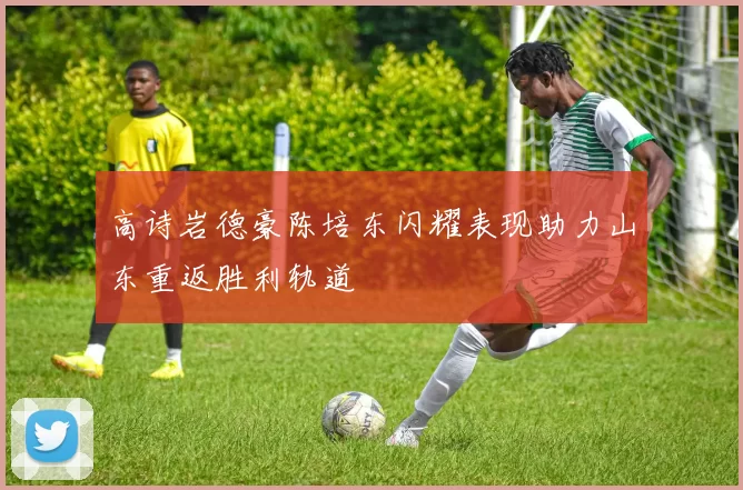 高诗岩德豪陈培东闪耀表现助力山东重返胜利轨道